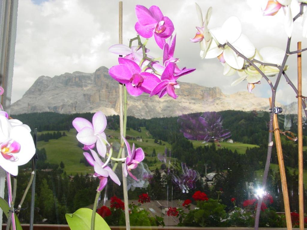 Ciasa Rudiferia Appartamenti In Alta Badia Экстерьер фото