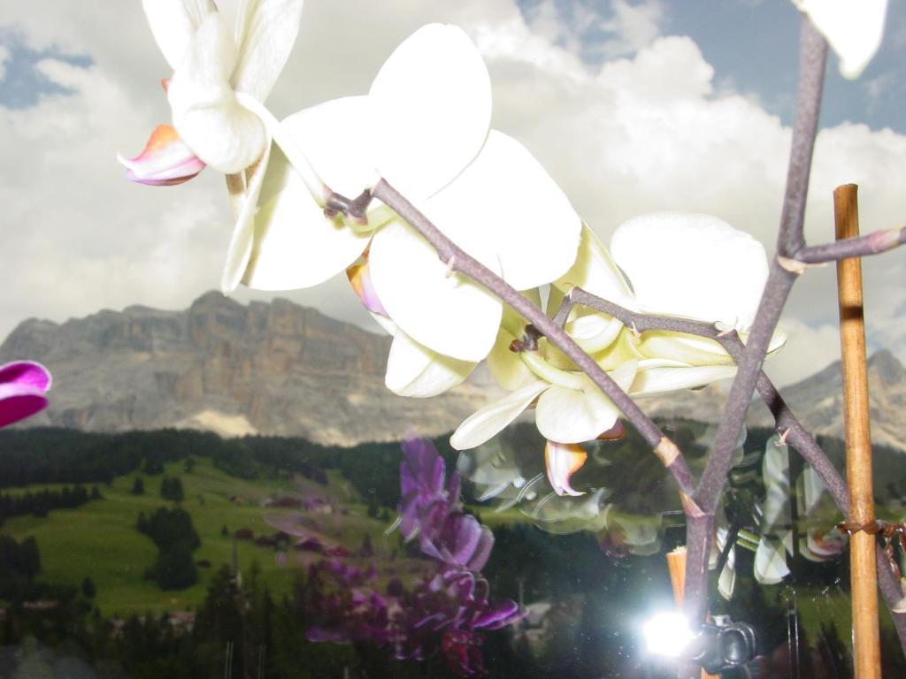Ciasa Rudiferia Appartamenti In Alta Badia Экстерьер фото