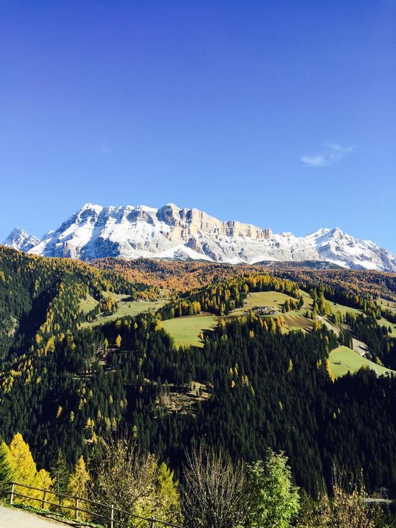 Ciasa Rudiferia Appartamenti In Alta Badia Экстерьер фото
